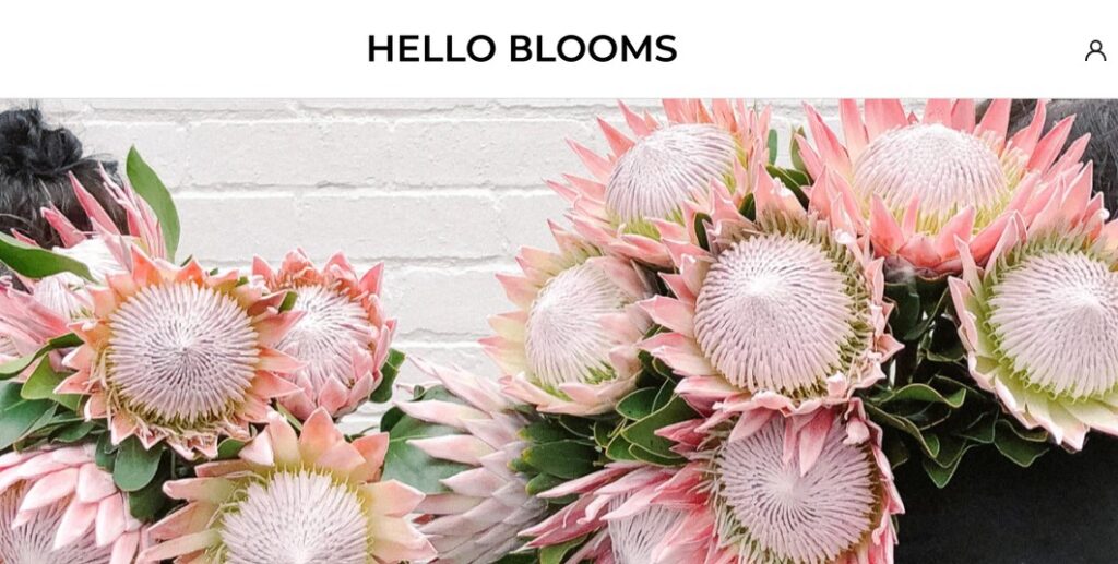 Hello Blooms - Melbournelist